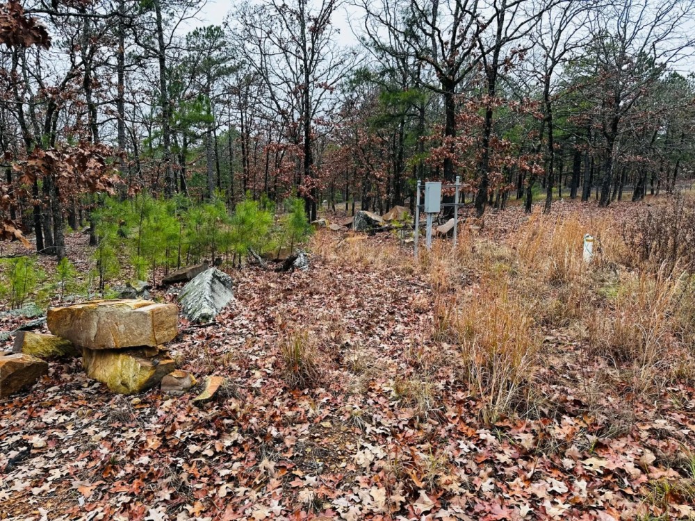 Recreational 28.5 Acres Stringtown OK featured image