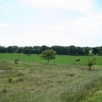 3627 acres The Craft Ranch 2400 under High Fence Duncan OK Stephens Co images 5
