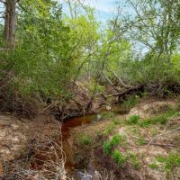 TBD FM 154 in Flatonia images 5
