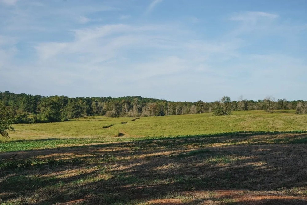 Parish Line South 65 featured image