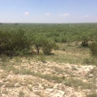West Texas Land for Sale in Irion County