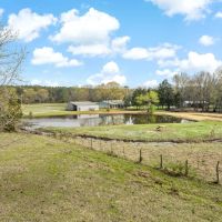 Home with Acreage in Avery images 4