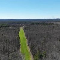 550 Acre Hunting Property w Camp Ouachita River