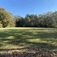 Turnkey 123 Acres Hunting Land Camps for Sale Clinton LA