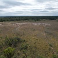 19.5 - Acres Jones County Tract 9