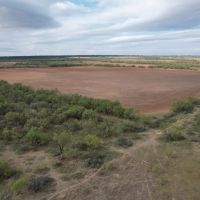 19.5 - Acres Jones County Tract 9 images 3