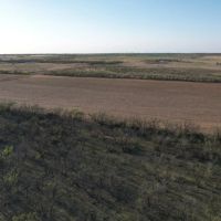 19.5 - Acres Jones County Tract 9 images 4