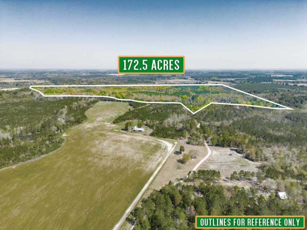 172.5 Acres - Bunton Rd in Ware County featured image