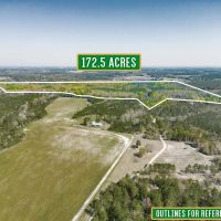 172.5 Acres - Bunton Rd in Ware County