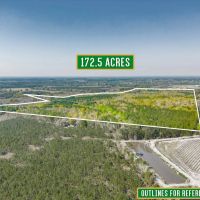 172.5 Acres - Bunton Rd in Ware County images 2