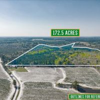 172.5 Acres - Bunton Rd in Ware County images 3