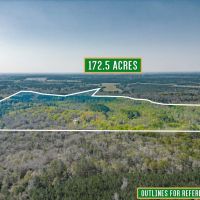 172.5 Acres - Bunton Rd in Ware County images 4