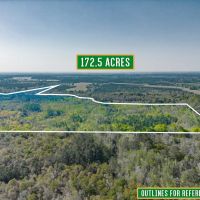 172.5 Acres - Bunton Rd in Ware County images 5