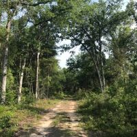 80 Acres Perry County MS Hunting Land for Sale