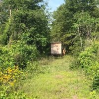 80 Acres Perry County MS Hunting Land for Sale images 3