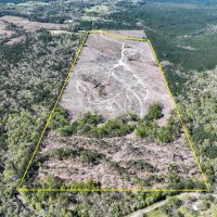 143 Acres County Road 443