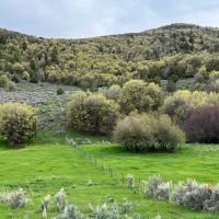 Steel Canyon Ranch images 4