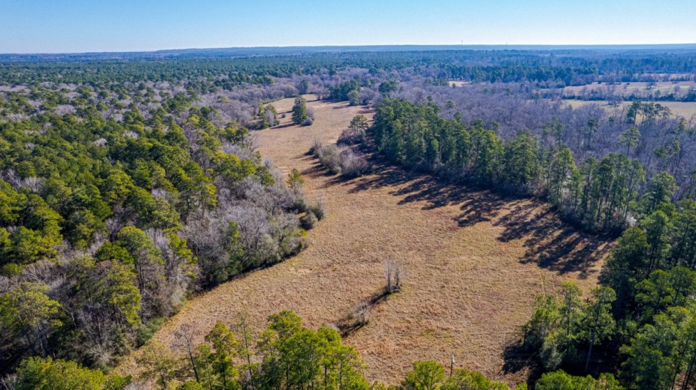 8001 FM 945 Road North Coldspring Texas 77331-9353 featured image