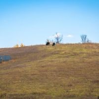 163 - Acres in Bible Grove MO images 3