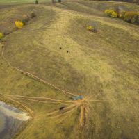163 - Acres in Bible Grove MO images 5