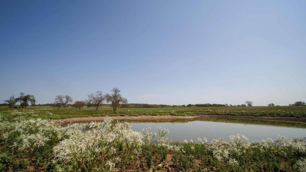 64.31 Acres in Milam County featured image