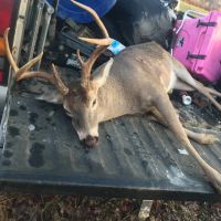 Smith Fork 67 images 3