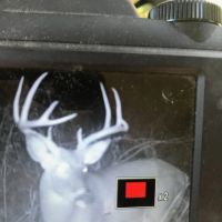 Smith Fork 67 images 5