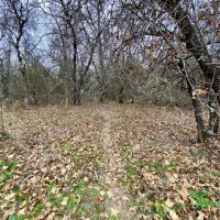 New Listing 13.9 - Acres Callahan County images 3