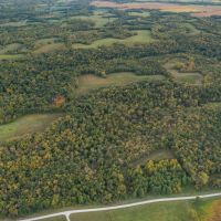 118.06 Acres in Ray County Missouri images 3