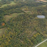 118.06 Acres in Ray County Missouri images 4