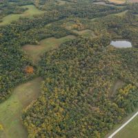 118.06 Acres in Ray County Missouri images 5