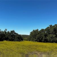 Back on Market 135.69 Acres Brown County images 4