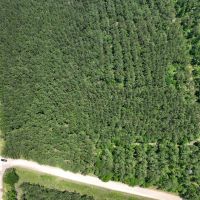 15 Acres T-5 Hunters Hill Road images 2