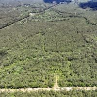 15 Acres T-5 Hunters Hill Road images 3
