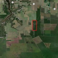 146-Acre Prime Hunting Timber Land for Sale in Beaufort Co. NC images 3