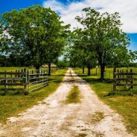 Landgraf Ranch at Walnut Creek images 3