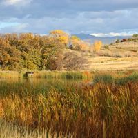 Freshet Ranch images 5