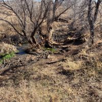 Bryan Ranch images 4