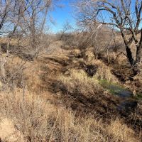 Bryan Ranch images 5