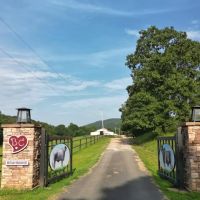 Mill Creek at Burnham Mountain Creek Tract for Sale AR