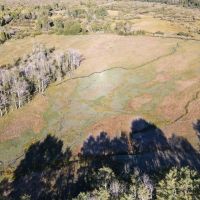 FIVE POINTS RANCH images 2