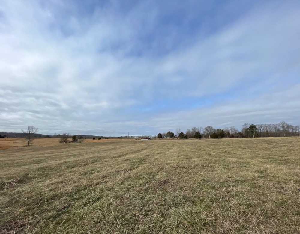 Hwy 301 Mini Farm 2 featured image