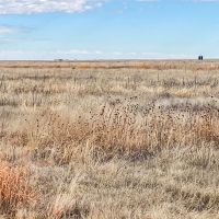 Roland Thompson CRP images 5