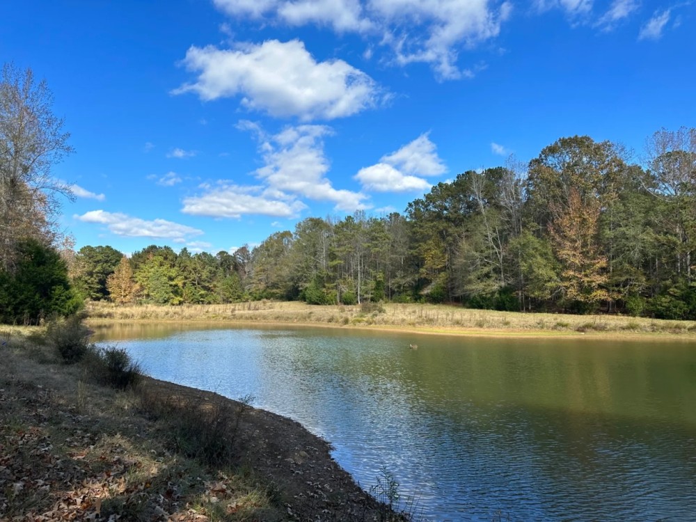 15 - Ac. Lee County W Pond featured image