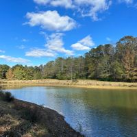 15 - Ac. Lee County W Pond images 1