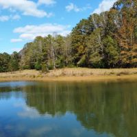 15 - Ac. Lee County W Pond images 2
