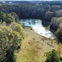 15 - Ac. Lee County W Pond images 3