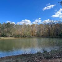 15 - Ac. Lee County W Pond images 4