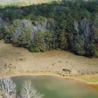 15 - Ac. Lee County W Pond images 5