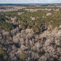 Large Residential Lot in Lincoln Parish images 4